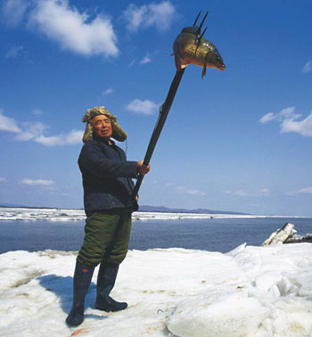 傳統(tǒng)文化與現(xiàn)代文明的對撞：赫哲族漁獵文化