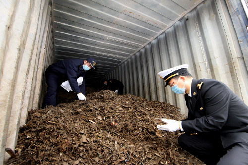 廣州海關(guān)開展“綠籬”行動嚴(yán)打“洋垃圾”走私