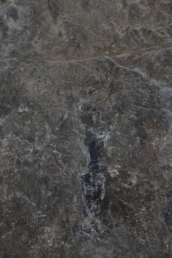 洛陽龍門石窟發(fā)現(xiàn)佛足跡圖像碑 千年后重見天日