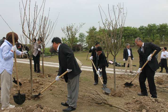 張家港舉辦外商種櫻花、享美食活動