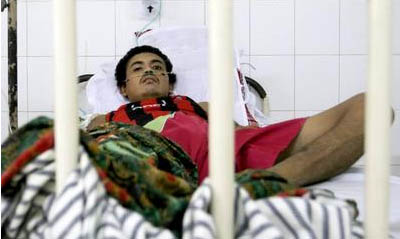 卷土重來(lái)的禽流感