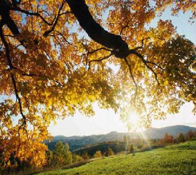 英國女孩患怪病 五顏六色眼前飄
