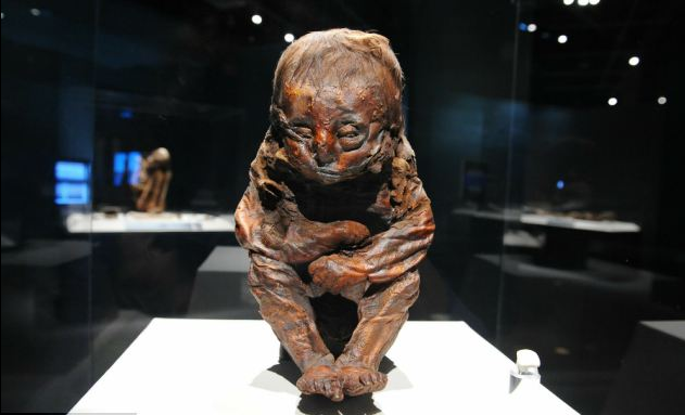 美國(guó)加州展出有6500年歷史的嬰兒木乃伊