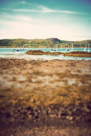 神奇！相機(jī)竟能照出小人國(guó)