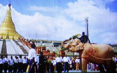 緬甸首都舉行大典迎接罕見白象 領(lǐng)導(dǎo)人給它灑香水