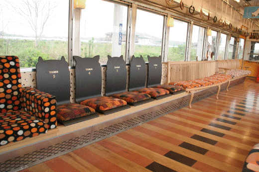 日本花貓站長(zhǎng)“阿玉”就任6周年升遷“代理社長(zhǎng)”