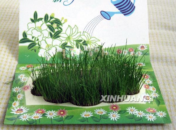 “綠色”賀卡受歡迎