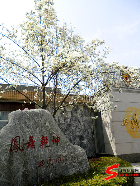 西鳳美酒香飄天下 酒海瓊漿醉世人(圖)