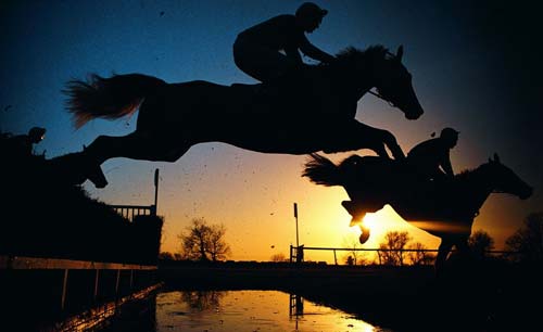 馬術(shù) 源自西方紳士運動