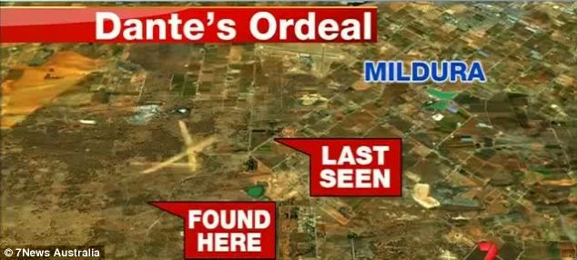 澳幼童雷雨天迷失叢林 忠犬守護14小時終得救