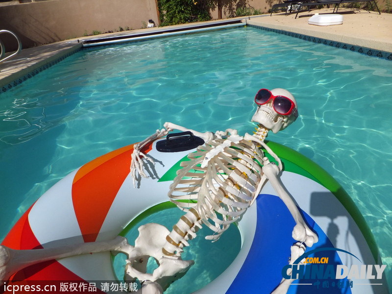 人體骨架一年內(nèi)周游世界 體驗(yàn)做人的感覺