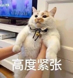 美國人有多愛夸人？居然飆車過來夸我鞋子美？？？