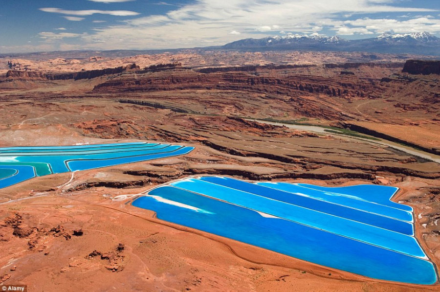 美國荒漠現(xiàn)“五彩池”奇觀