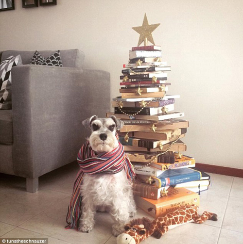 還在擺放傳統(tǒng)的圣誕樹(shù)？快來(lái)試試圣誕“枕”、圣誕“書(shū)”和圣誕“花”！