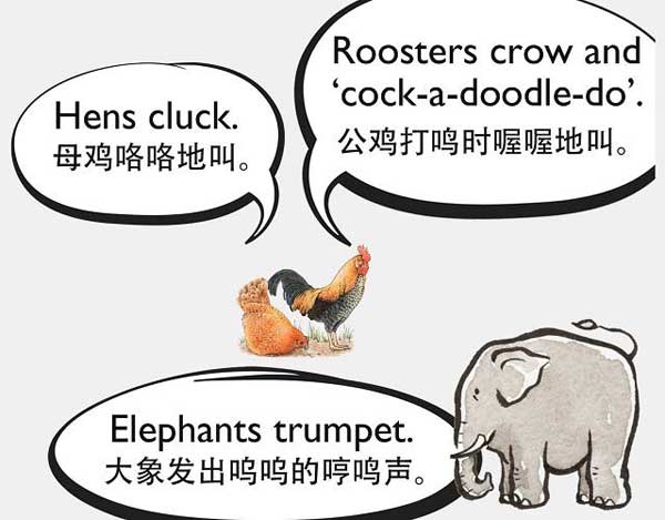 自然界中有各種聲音 如何用英語(yǔ)來(lái)描述動(dòng)物的叫聲？