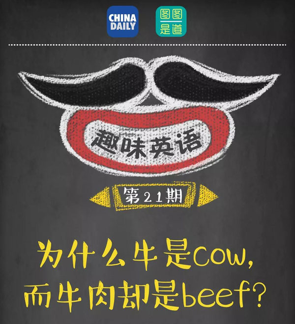 為什么牛是cow，而牛肉卻是beef？