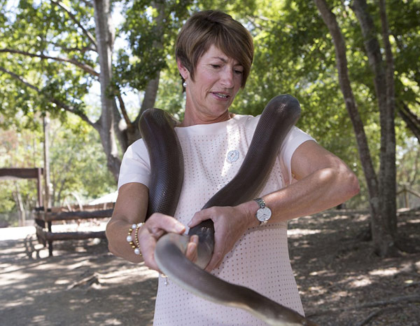 G20峰會上演“考拉外交” 萌翻各國領(lǐng)導(dǎo)人