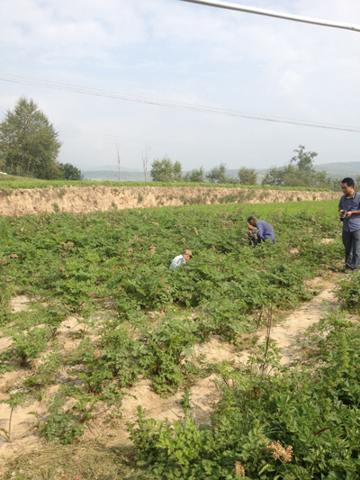 Photos: Yongguang village in Gansu province