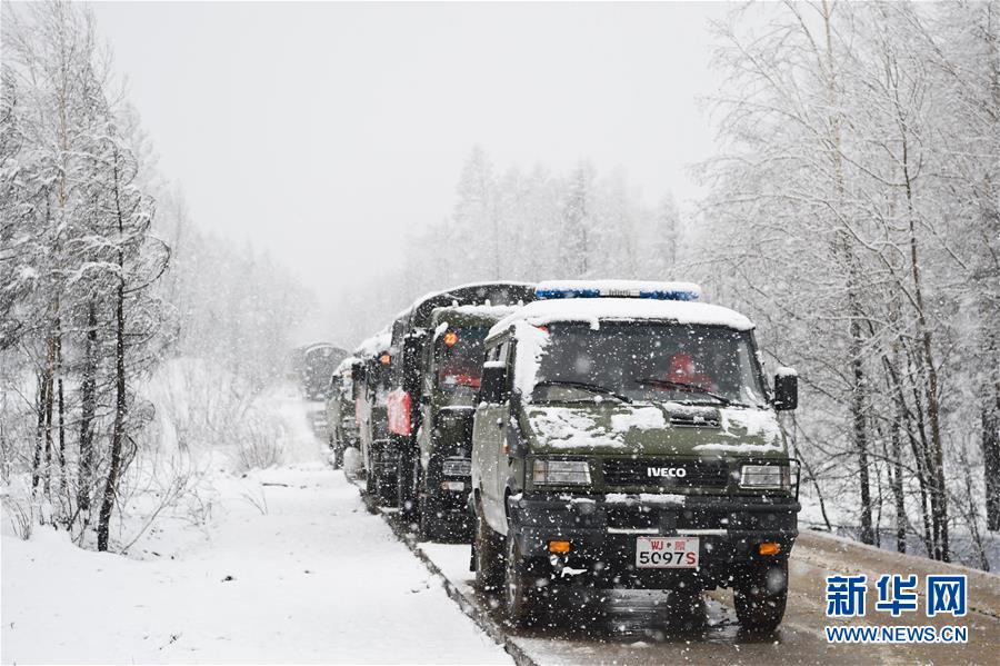 Snowstorms cause firefighters to withdraw