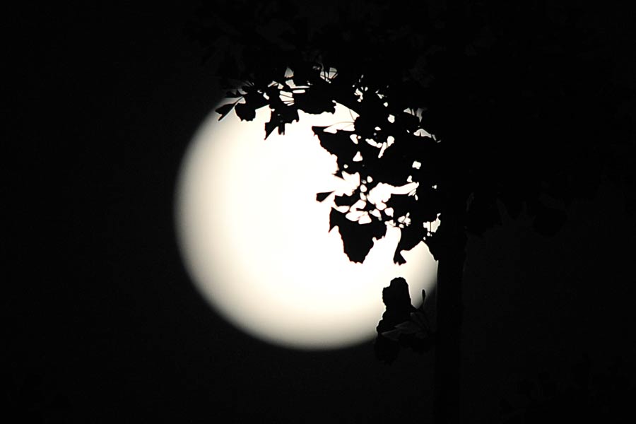'Super moon' lights up night sky
