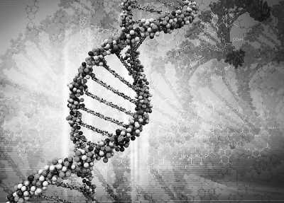 美國(guó)科學(xué)家發(fā)現(xiàn)DNA生物時(shí)鐘