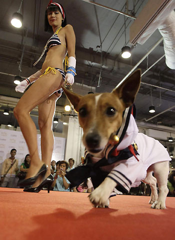 Dog fashion show in Bangkok